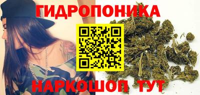 a pvp Кунгур