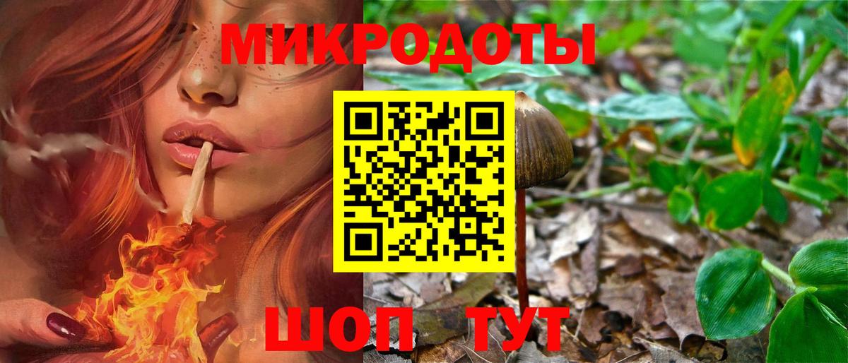 Галлюциногенные грибы мицелий Коломна
