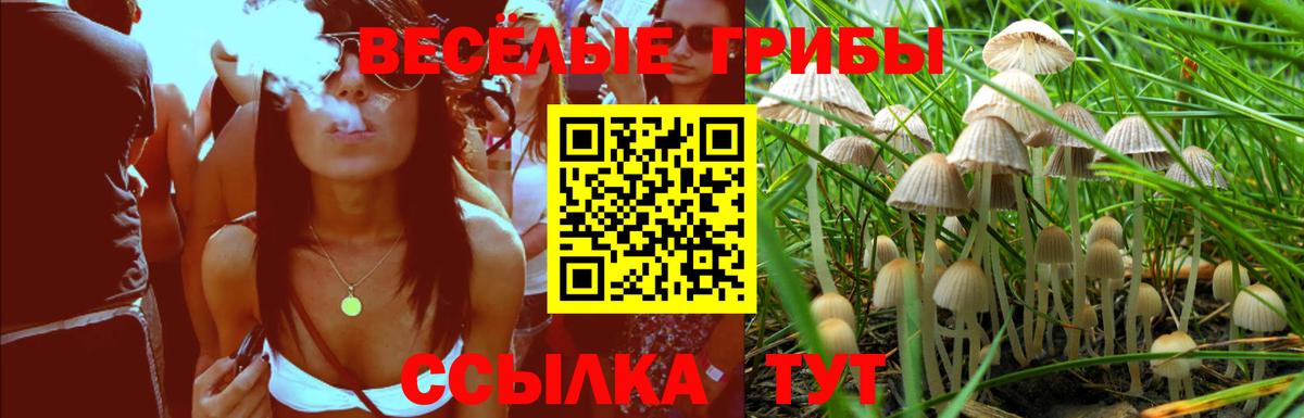Псилоцибиновые грибы Magic Shrooms  Вход с VPN  Галлюциногенные грибы Cubensis  Коломна 